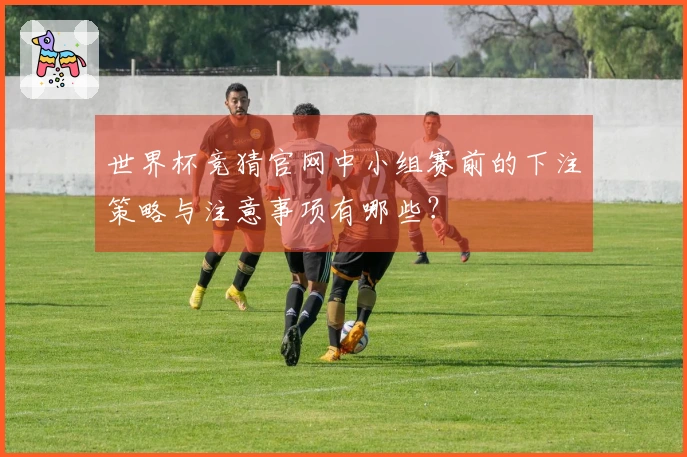 世界杯竞猜官网中小组赛前的下注策略与注意事项有哪些？