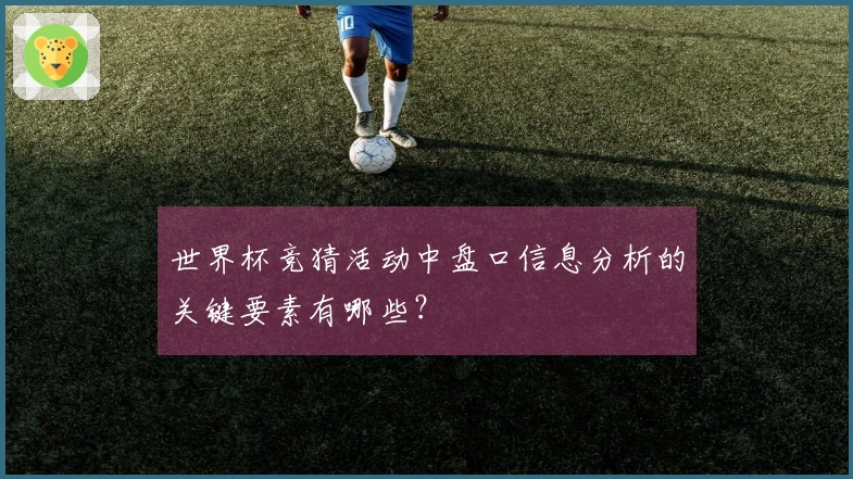 世界杯竞猜活动中盘口信息分析的关键要素有哪些？